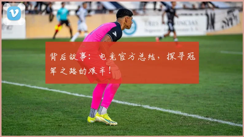 背后故事：电竞官方总结，探寻冠军之路的艰辛！