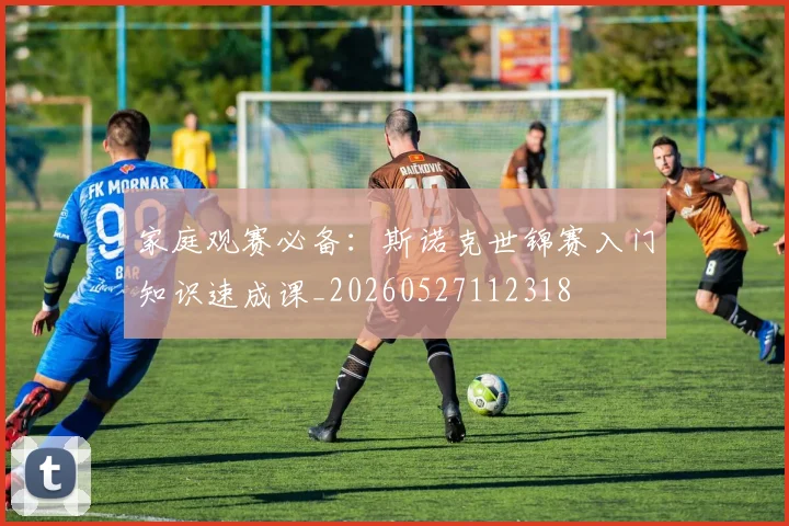 家庭观赛必备：斯诺克世锦赛入门知识速成课_20260527112318