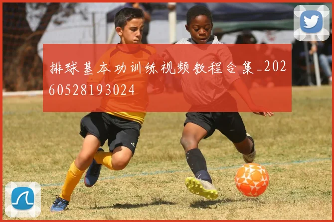 排球基本功训练视频教程合集_20260528193024